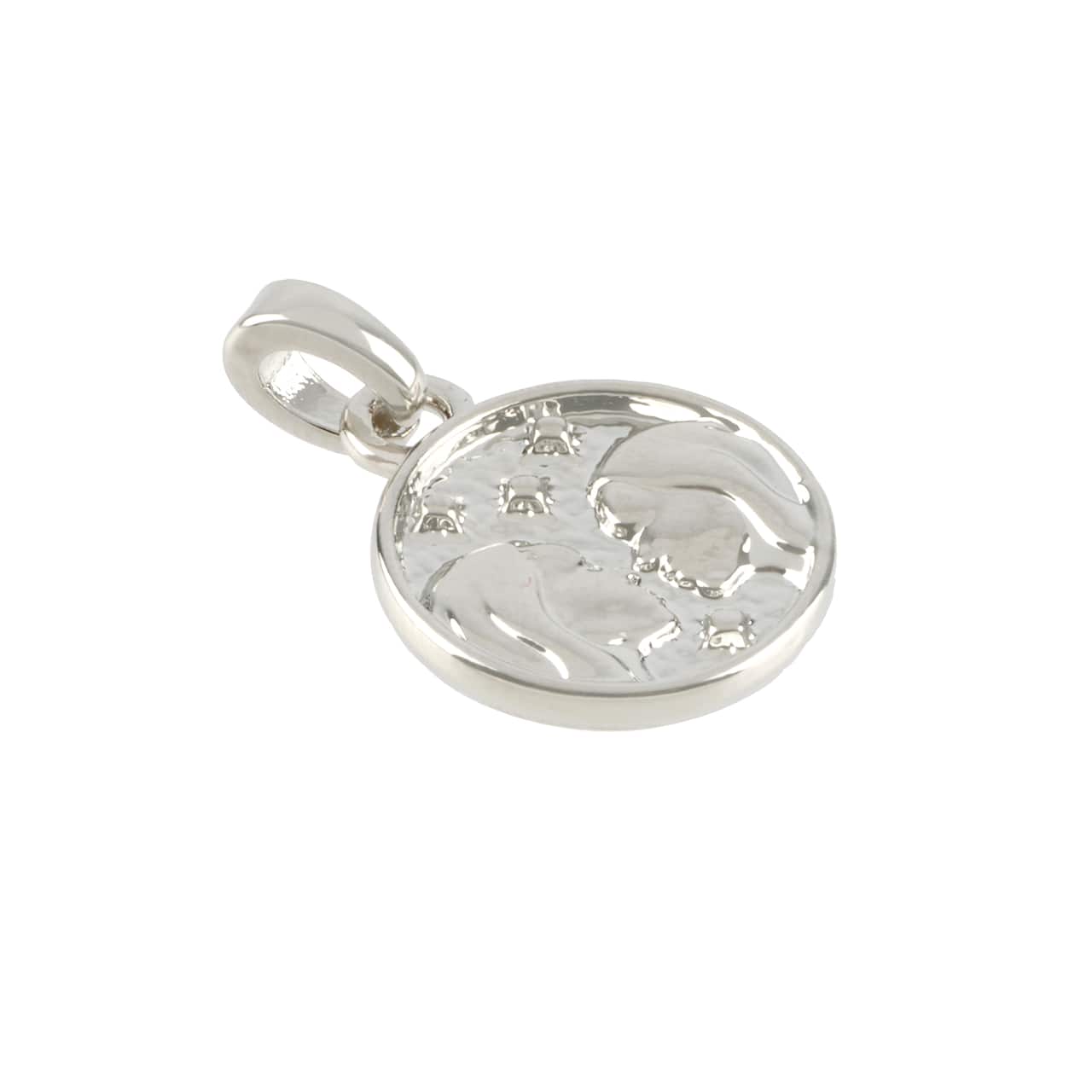 12 Pack: Metal Zodiac Coin Charm by Bead Landing™